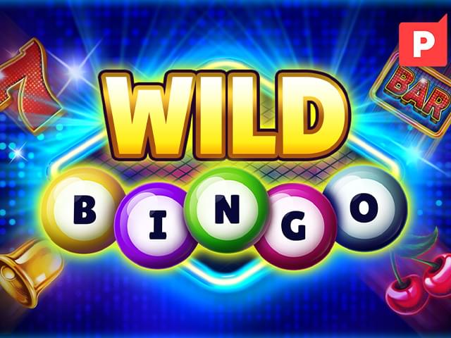 6588 bet Bingo Selvagem